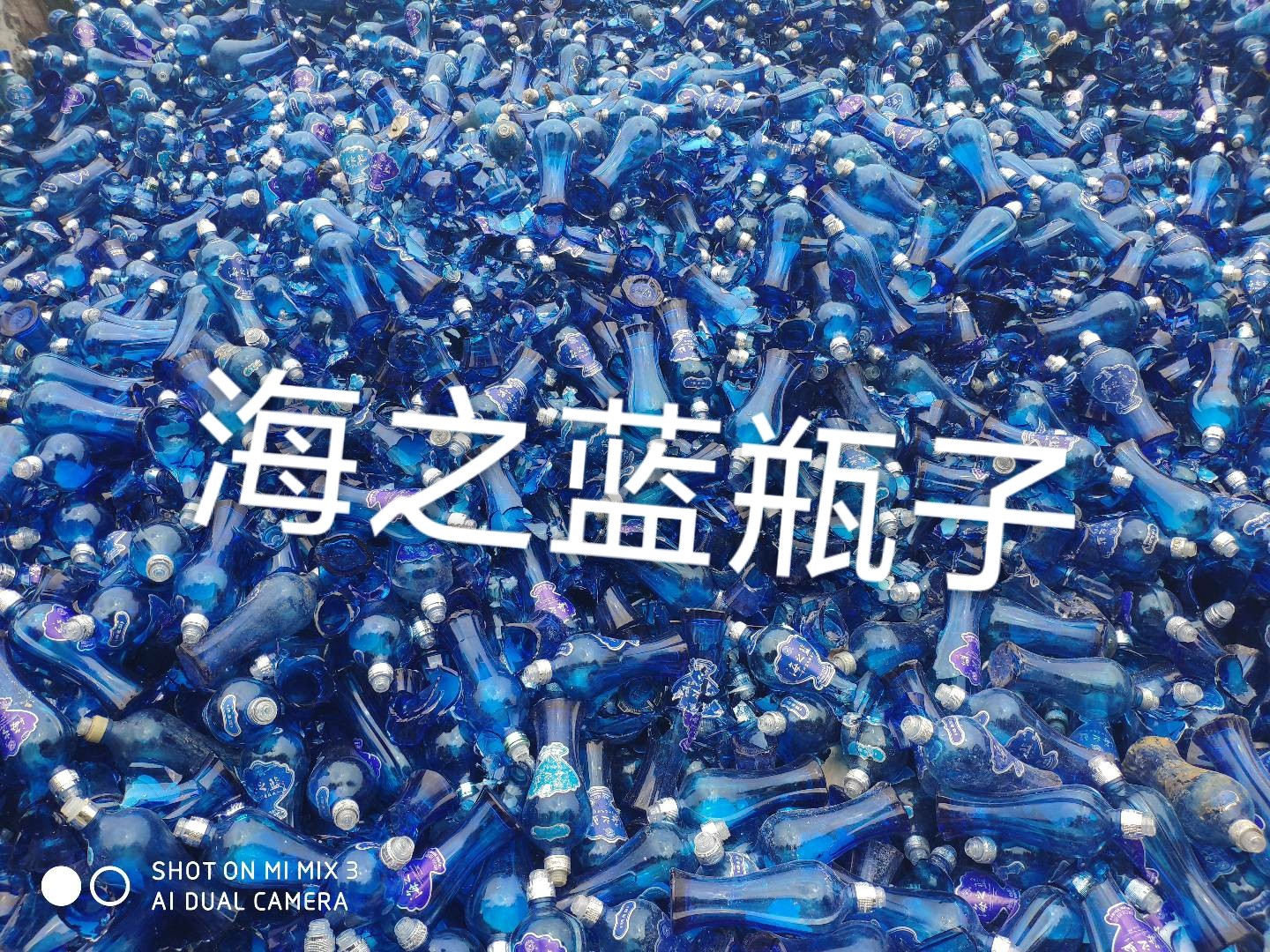 连云港海之蓝瓶回收