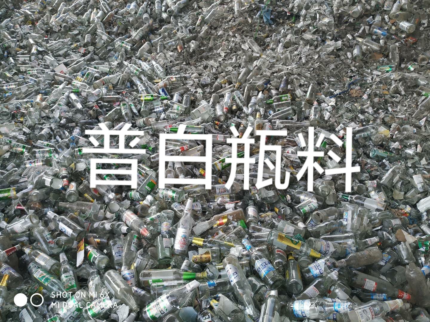 连云港普白瓶料回收